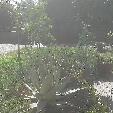 Benessere Nel Parco Sacrofano